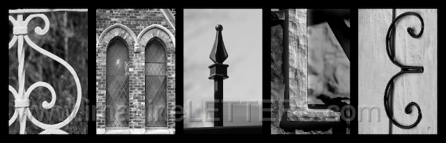 Wall_Art_Alphabet_Photography_Art_ 2118.jpg
